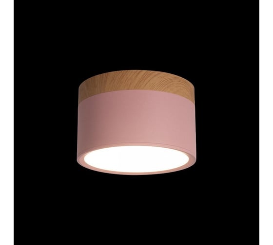 Накладной светильник LOFT IT Grape 10162 Pink
