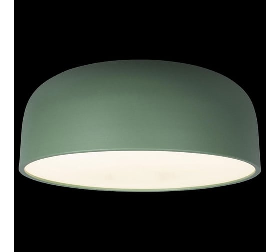 Накладной светильник LOFT IT Axel 10201/480 Green