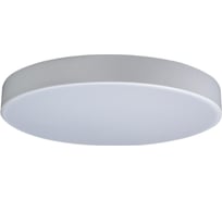 Накладной светильник LOFT IT Axel 1 10002/24 White