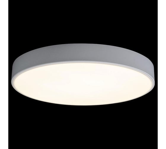 Накладной светильник LOFT IT Axel 1 10002/24 White