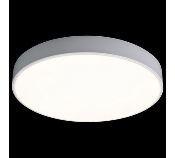 Накладной светильник LOFT IT Axel 1 10002/24 White