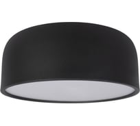 Накладной светильник LOFT IT Axel 10201/350 Black