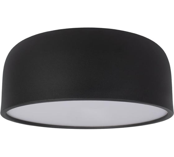 Накладной светильник LOFT IT Axel 10201/350 Black