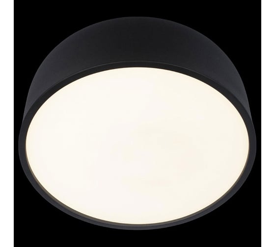 Накладной светильник LOFT IT Axel 10201/350 Black