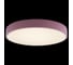 Накладной светильник LOFT IT Axel 1 10002/24 Pink 3