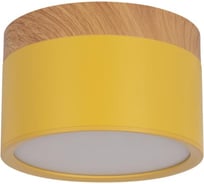 Накладной светильник LOFT IT Grape 10162 Yellow