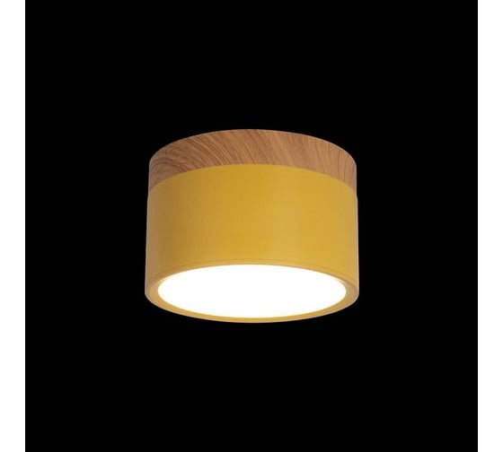 Накладной светильник LOFT IT Grape 10162 Yellow