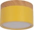 Накладной светильник LOFT IT Grape 10162 Yellow 1