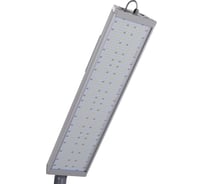 Светодиодный светильник TRANSCOM ДиУС-300MS Т-31-У-300М-Д-К-67