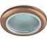 Влагозащищенный светильник MR16,12V/220V, 50W ЭРА WR1 SC C0043844 1