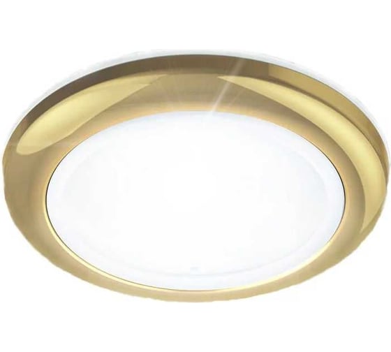 Влагозащищенный светильник MR16,12V/220V, 50W ЭРА WR1 GD C0043846