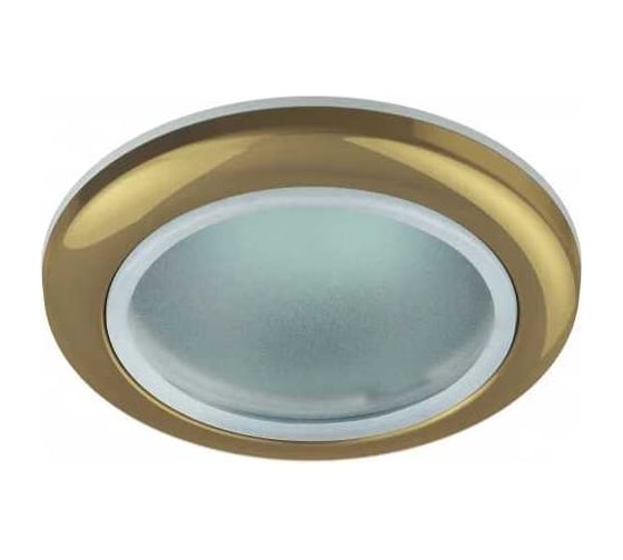 Влагозащищенный светильник MR16,12V/220V, 50W ЭРА WR1 GD C0043846