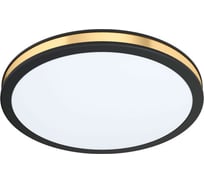 Накладной светильник Eglo ПРОМО PESCAITO 99406