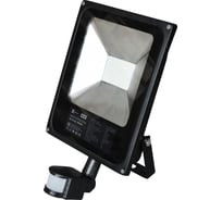 Светодиодный прожектор X-flash XF-FLS-SMD-PIR-50W-6500K 46898