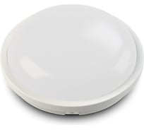Светодиодный светильник ЖКХ X-flash XF-CR220-20W-4000K-220V 47079