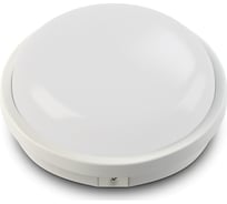 Светодиодный светильник ЖКХ X-flash XF-CR170-15W-4000K-220V 47086
