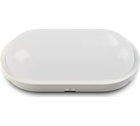 Светодиодный светильник ЖКХ X-flash XF-OV270-20W-4000K-220V 47093