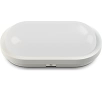 Светодиодный светильник ЖКХ X-flash XF-OV215-15W-4000K-220V 47109