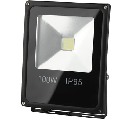 Светодиодный прожектор ЭРА LPR-100-6500К-М Б0017304