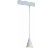 Подвесной светильник ST luce SKYLINE 220 ST502.503.01