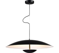 Подвесной светильник ST luce ARMONICO SL6502.413.01