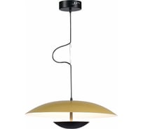 Подвесной светильник ST luce ARMONICO SL6502.203.01