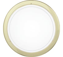 Накладной светильник Eglo ПРОМО PLANET 1 83157