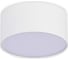 Потолочный светильник ST luce белый LED 1х12W 4000K 1080Lm ST606.542.12 2