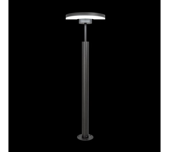 Уличный парковый поворотный светильник Citilux LED Графит CLU03B1