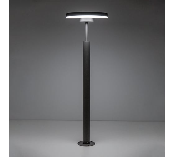 Уличный парковый поворотный светильник Citilux LED Графит CLU03B1
