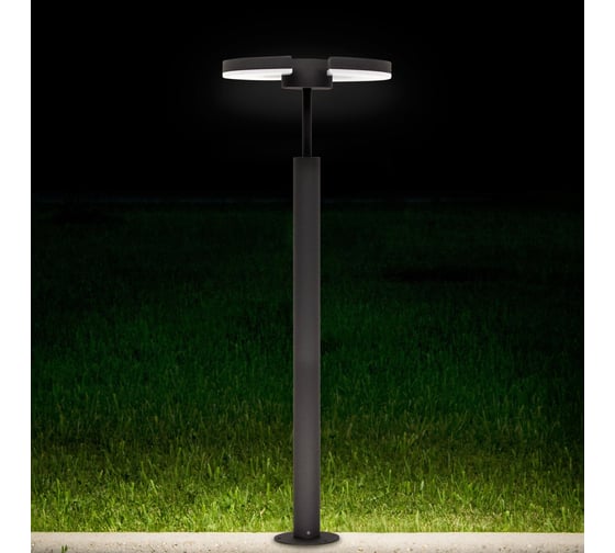 Уличный парковый поворотный светильник Citilux LED Графит CLU03B2