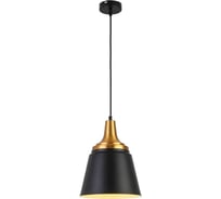 Подвесной светильник ESCADA E27*40W Black 1100/1S