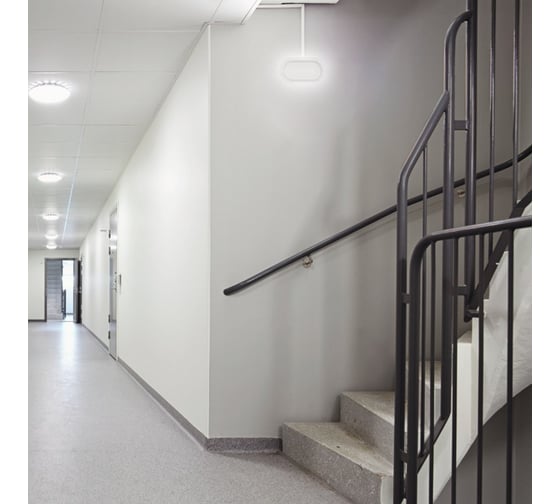 Светодиодный светильник Wolta LED 8Вт 4000К IP65 760Лм овал LCL05-8W-P01-4K