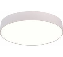 Накладной светильник ST luce ST606.542.48