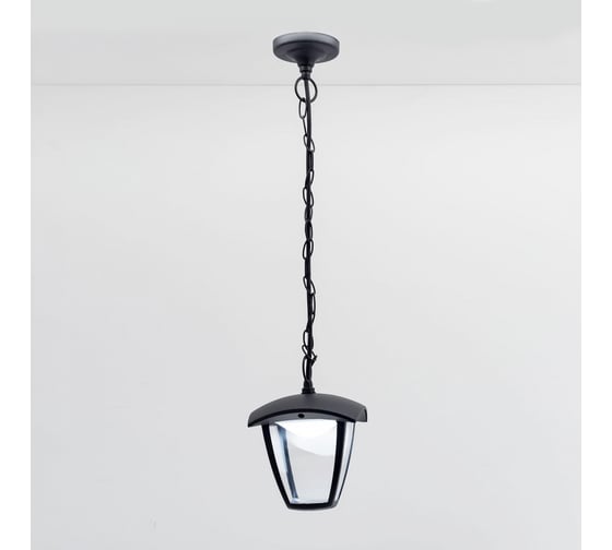 Уличный подвесной светильник Citilux LED Чёрный CLU04P