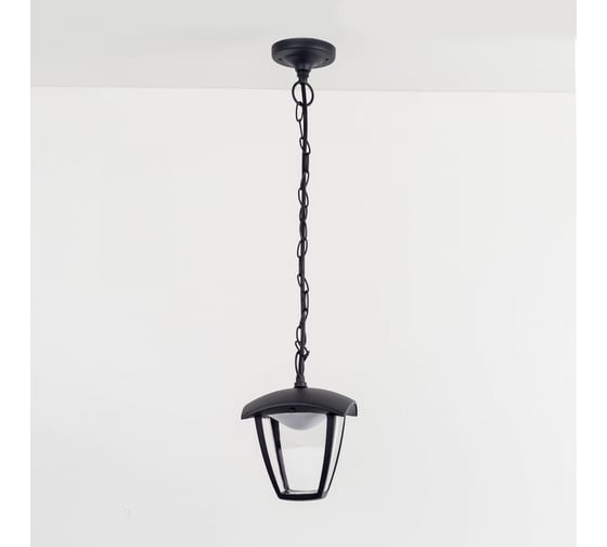 Уличный подвесной светильник Citilux LED Чёрный CLU04P