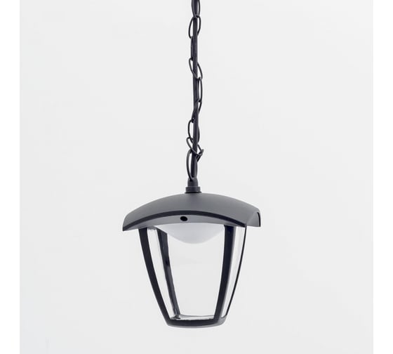 Уличный подвесной светильник Citilux LED Чёрный CLU04P