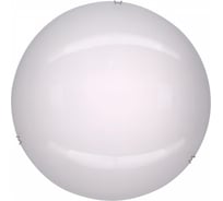Светодиодный светильник Citilux Белый CL917000