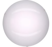 Светодиодный светильник Citilux Белый CL918000