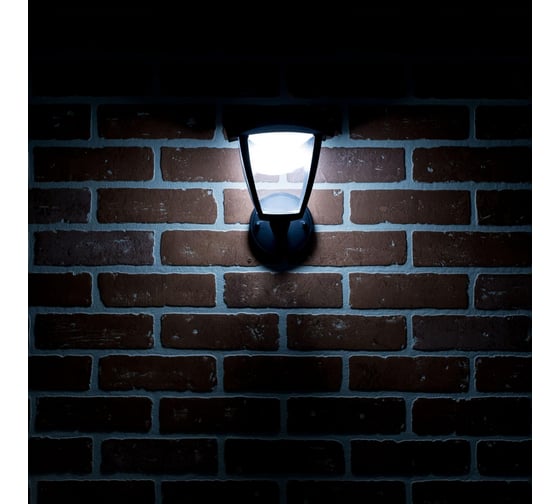 Уличный настенный светильник Citilux LED Черный CLU04W1