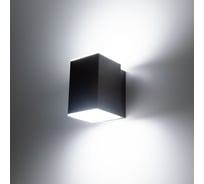 Уличный настенный светильник Citilux LED Графит CLU0002