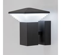 Уличный настенный светильник Citilux LED Графит CLU02W
