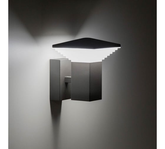 Уличный настенный светильник Citilux LED Графит CLU02W
