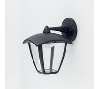 Уличный настенный светильник Citilux LED Черный CLU04W2