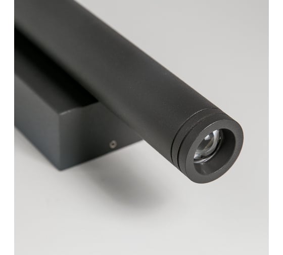 Уличный настенный светильник Citilux LED Графит CLU0001