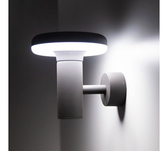 Уличный настенный светильник Citilux LED Графит CLU01W
