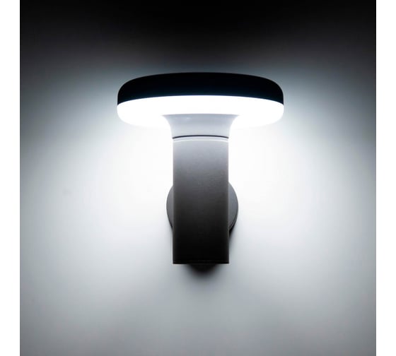Уличный настенный светильник Citilux LED Графит CLU01W