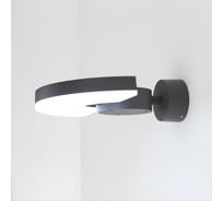 Уличный настенный светильник Citilux LED Графит CLU03W