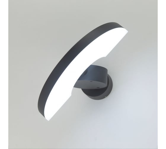 Уличный настенный светильник Citilux LED Графит CLU03W