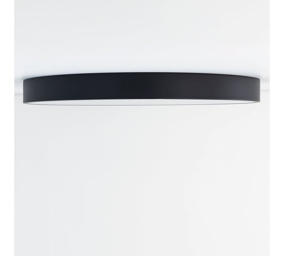 Светильник с пультом Citilux Купер LED RGB Чёрный CL724105G1